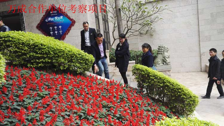 萬(wàn)成合作單位考察項(xiàng)目