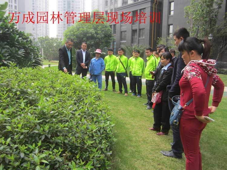 萬(wàn)成園林管理層現(xiàn)場(chǎng)培訓(xùn)