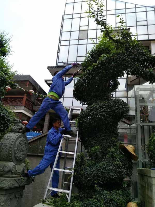 廣西恒大蘋(píng)果園