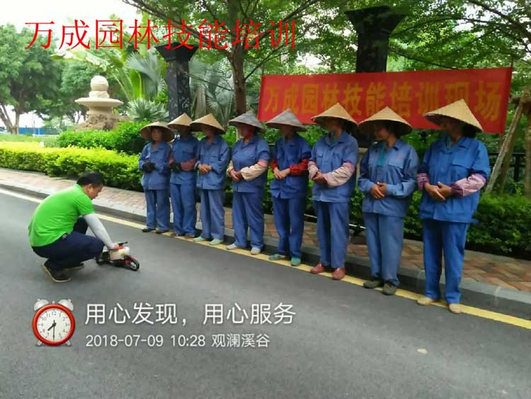 萬(wàn)成園林技能培訓(xùn)